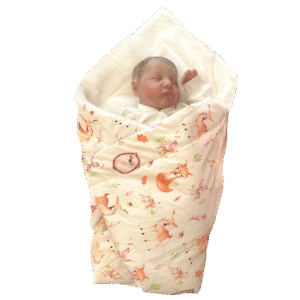 Forest Animals Παπλωματάκι